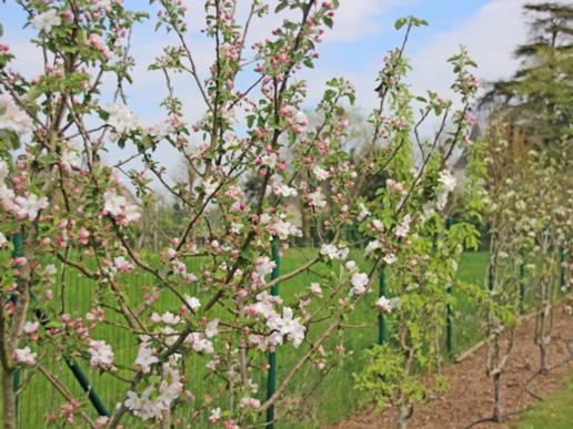 فندق Au Pre Carre Plumergat المظهر الخارجي الصورة