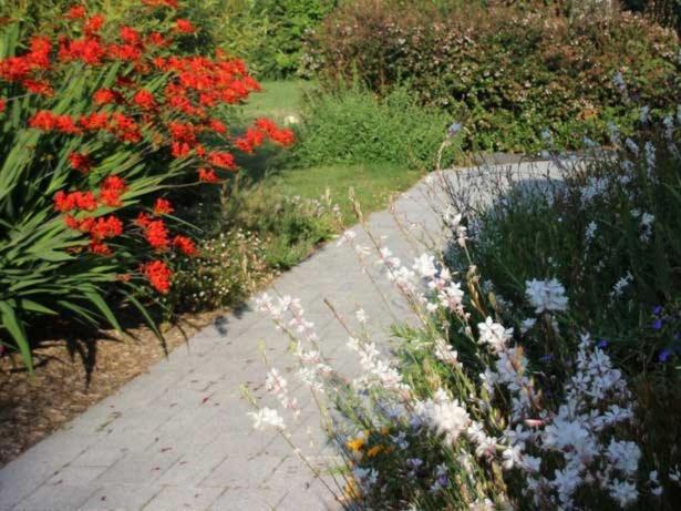 فندق Au Pre Carre Plumergat المظهر الخارجي الصورة