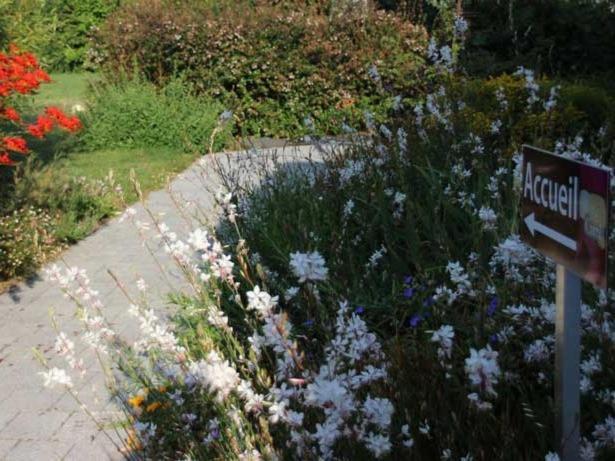 فندق Au Pre Carre Plumergat المظهر الخارجي الصورة